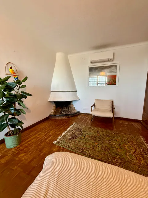 A sitting area with an armchair, potted plant and corner fireplace