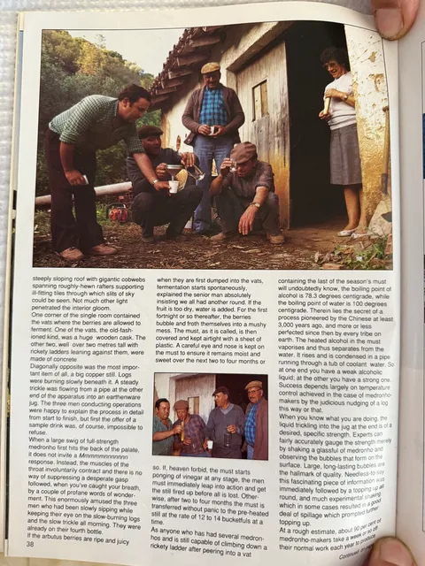 Magazine page 38, showing four men drinking medronho outside a stillhouse door and the continuing article text