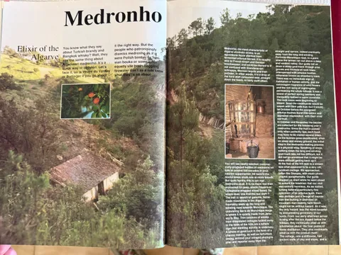 Magazine opening spread for 'Medronho: Elixir of the Algarve,' with a hillside stillhouse photo and the article's opening paragraphs